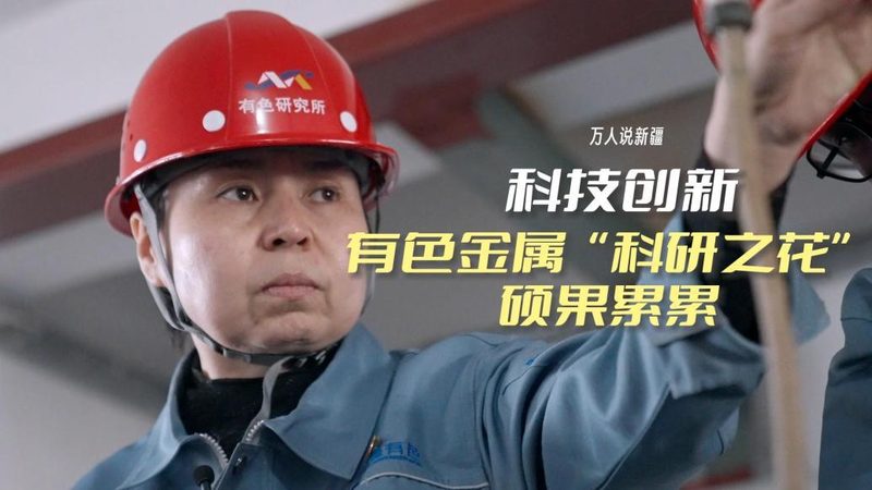 数据服务制作方法：揭秘高效数据服务构建之道
